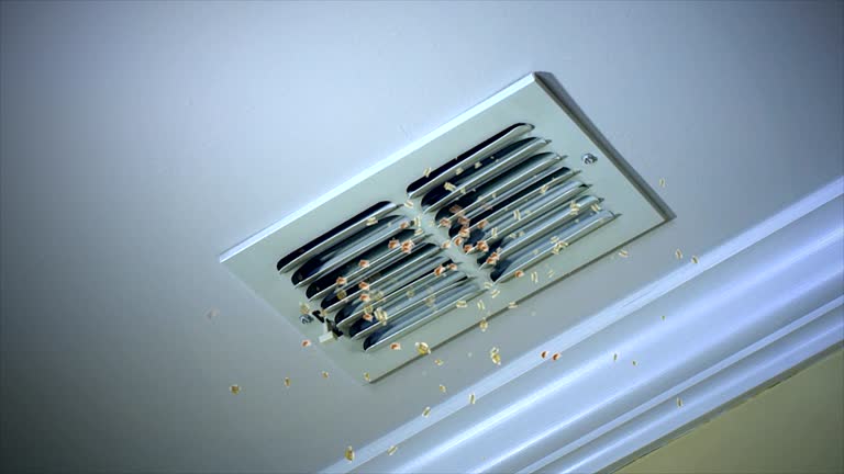 Best Best Air Duct Cleaning Company  in Pelahatchie, MS